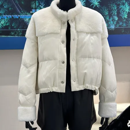 ロエベ ダウンジャケット