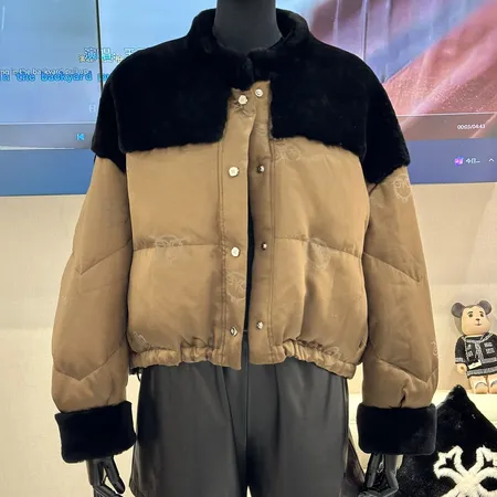 ロエベ ダウンジャケット