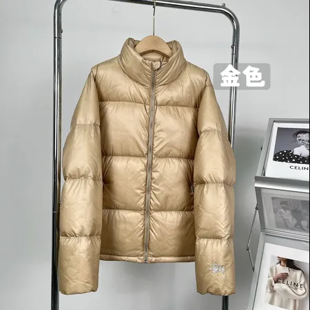 ステューシー ダウンジャケット