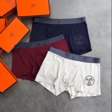 エルメス パンツ