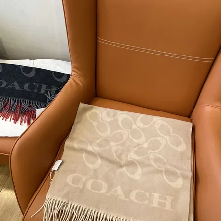  スーパーコピー コーチ マフラー