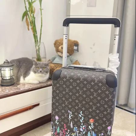 スーパーコピー ルイヴィトン スーツケース