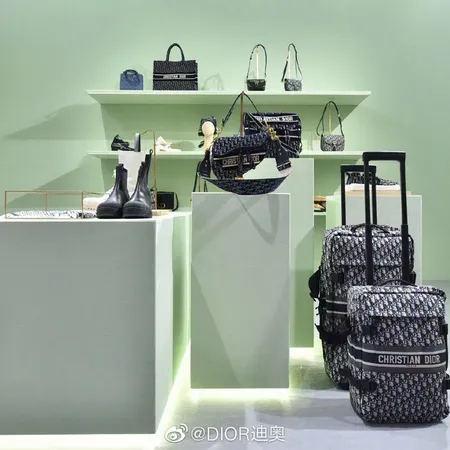 スーパーコピー ディオール スーツケース