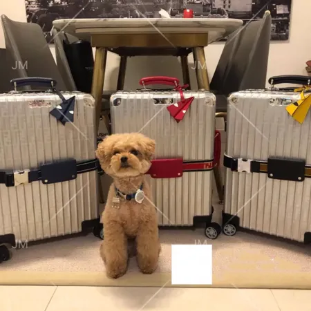 スーパーコピー フェンディ スーツケース