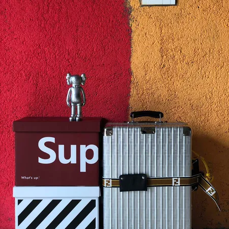 スーパーコピー フェンディ スーツケース