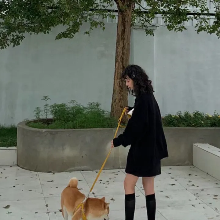 スーパーコピー ミュウミュウ 靴下