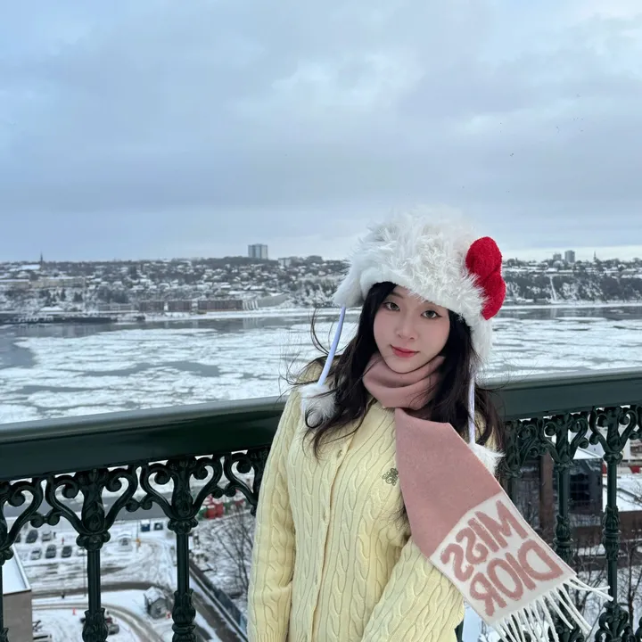 スーパーコピー ディオール マフラー