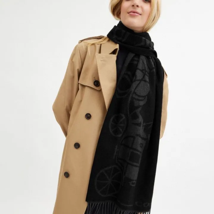 スーパーコピー コーチ マフラー