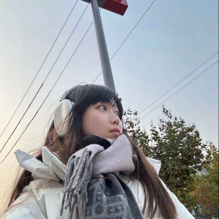 スーパーコピー ヴィヴィアン・ウエストウッド マフラー