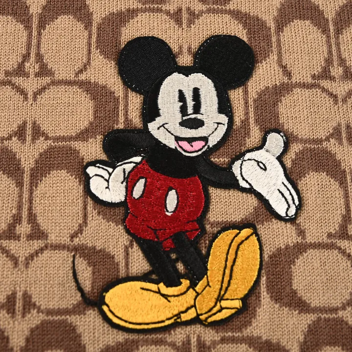 スーパーコピー コーチ マフラー