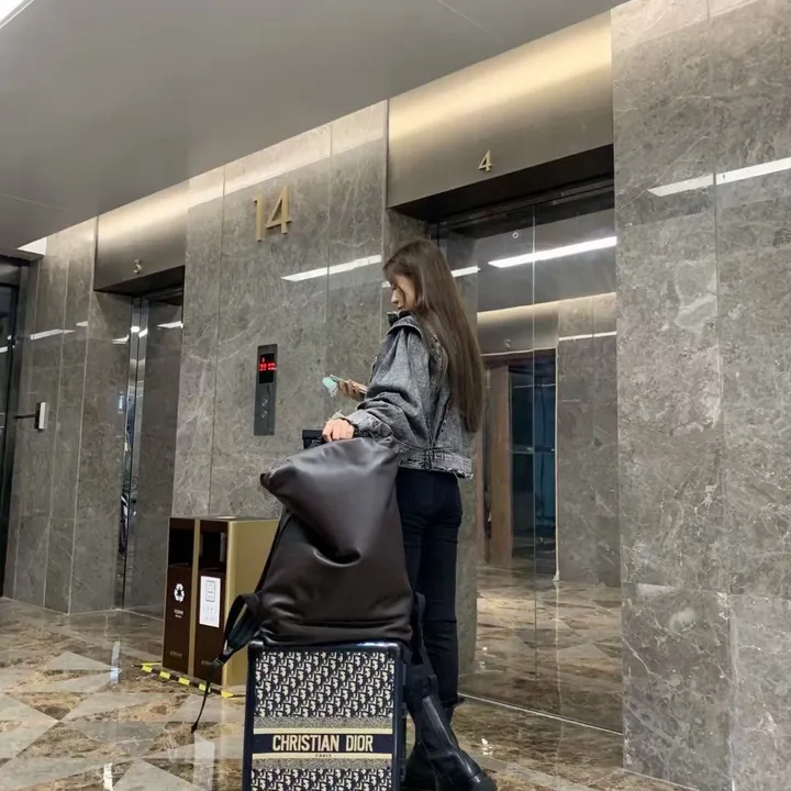 スーパーコピー ディオール スーツケース