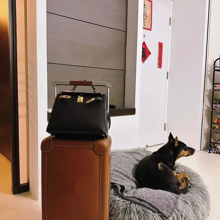 スーパーコピー エルメス スーツケース