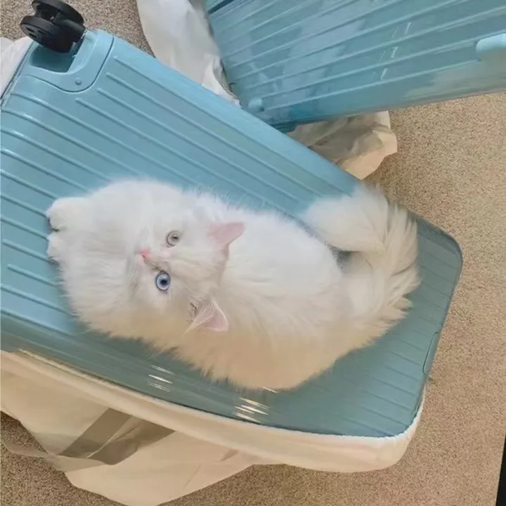 スーパーコピー リモワ スーツケース