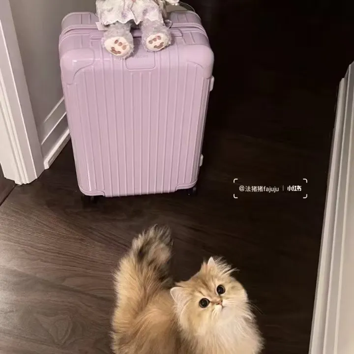 スーパーコピー リモワ スーツケース