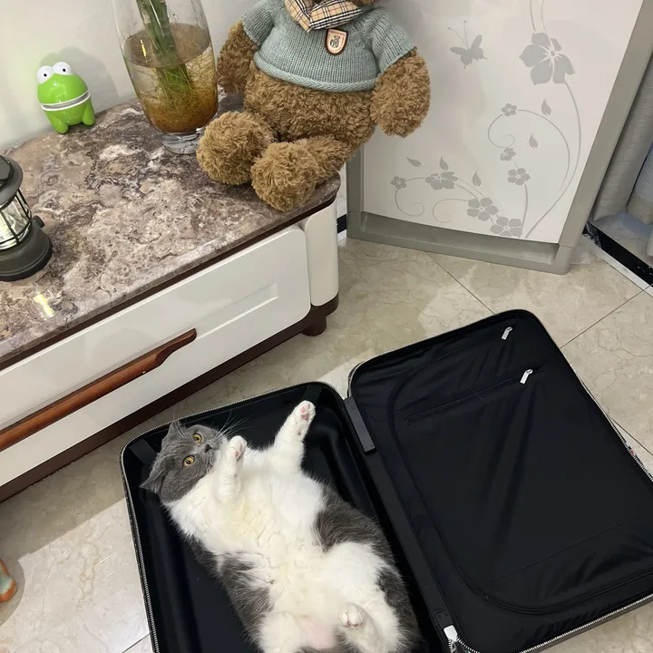 スーパーコピー ルイヴィトン スーツケース