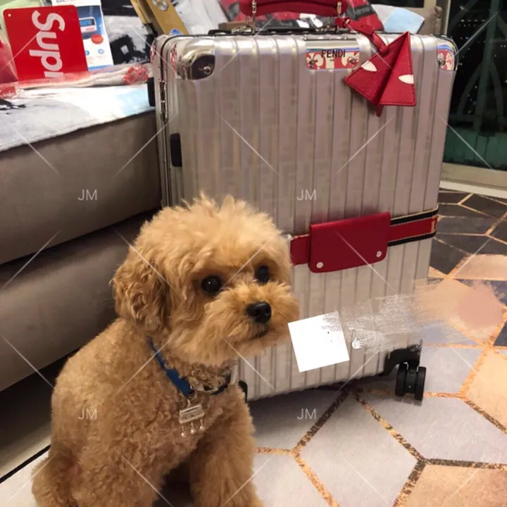 スーパーコピー フェンディ スーツケース