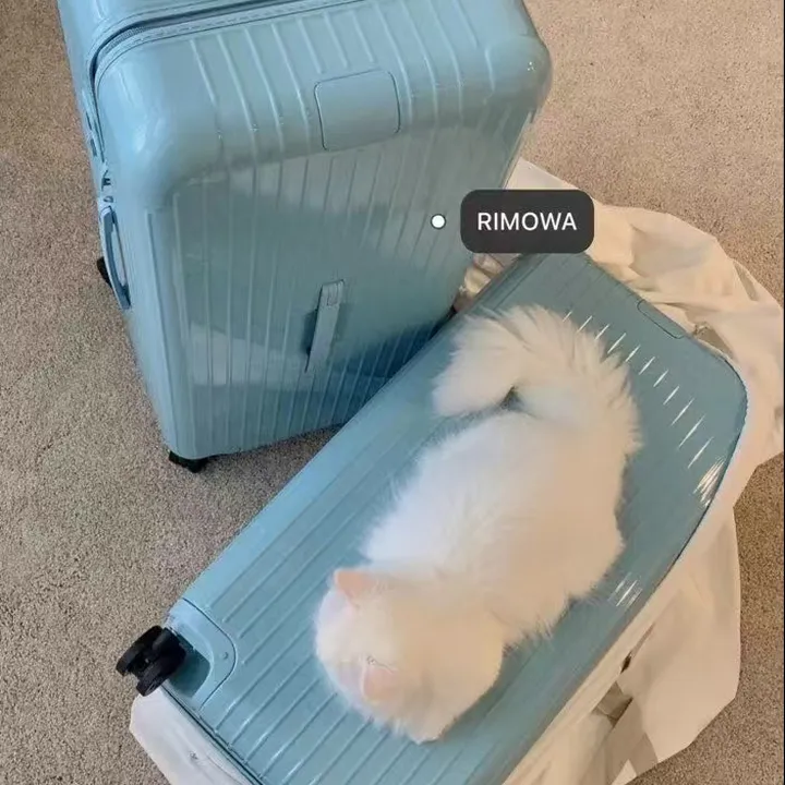 スーパーコピー リモワ スーツケース