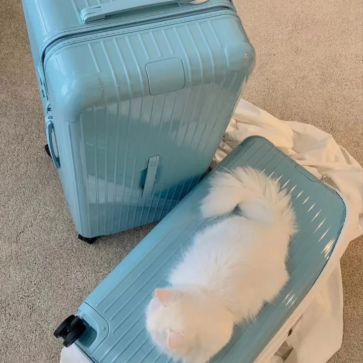 スーパーコピー リモワ スーツケース